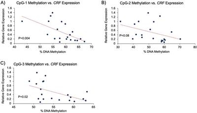 Blood DNA methylation of CRF and its association with amygdala volume and mood in Cushing’s syndrome